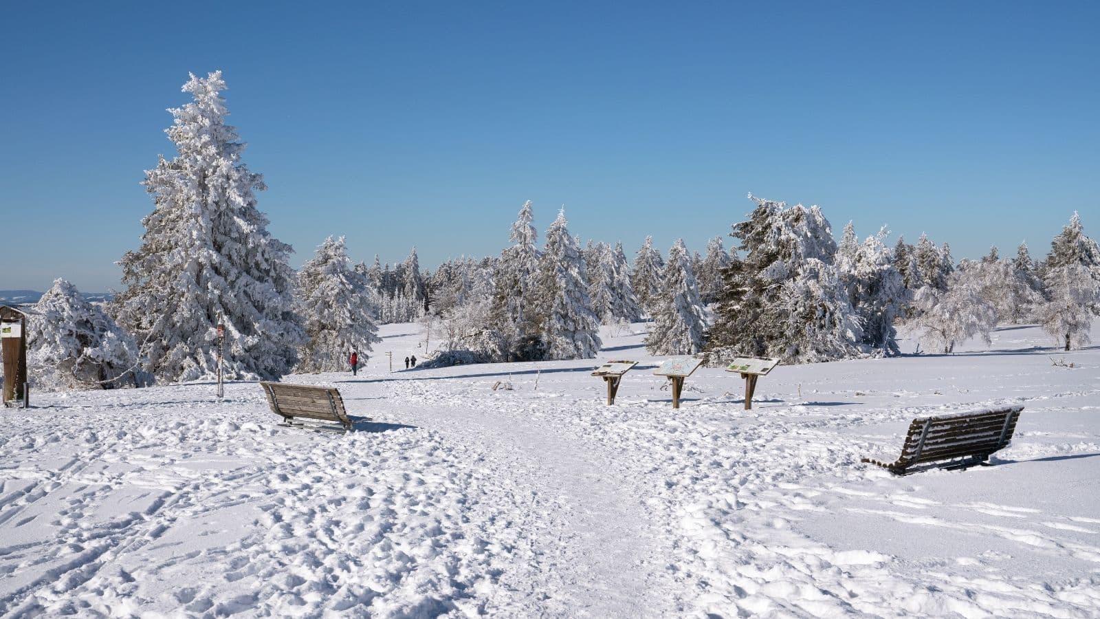 Snowy landscape