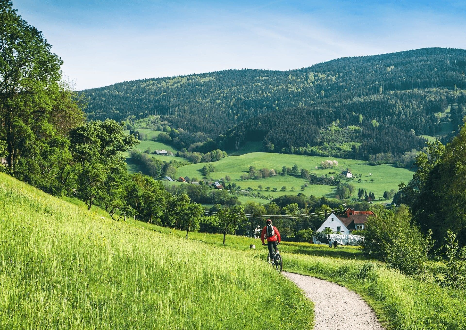 Cyklist cykler på en tysk landevej med skovlandskab.