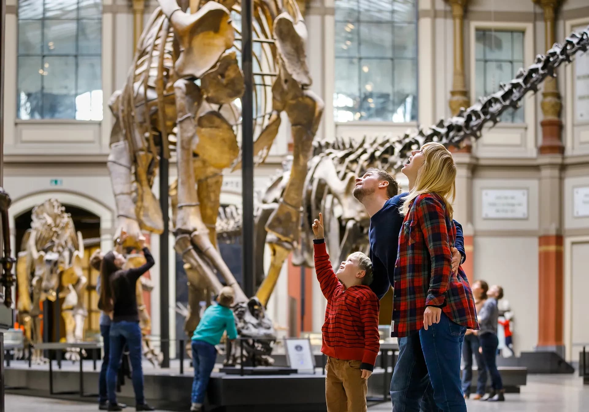 sauriersaal at museum für naturkunde Berlin